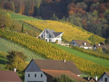 Die Weinbauern der zweitgrössten Rebgemeinde des Kantons locken mit ihren Köstlichkeiten.